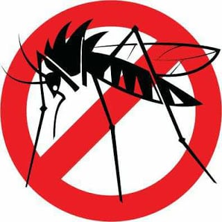 Dengue Fever, Causes, Symptoms, Prevention, Treatment and Vaccine