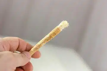 teeth cleaning twig/chewing sticks