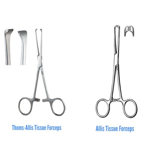 Allis Forceps Allis Tissue Forceps