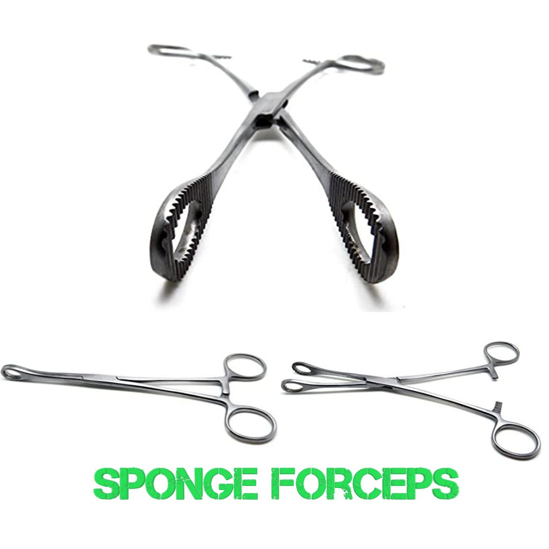 Sponge Forceps 