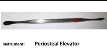 Oral Surgery Instruments-Periosteal Forceps