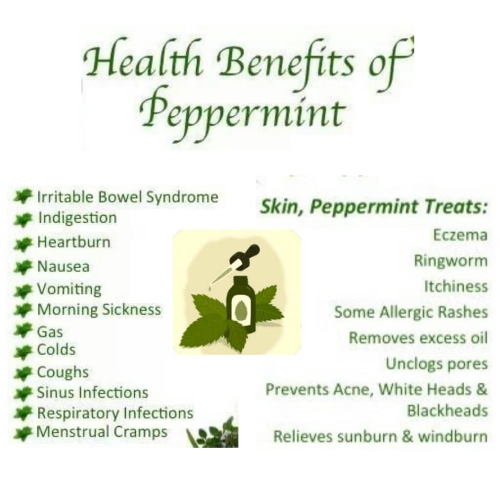 11 Proven Health Benefits of Peppermint