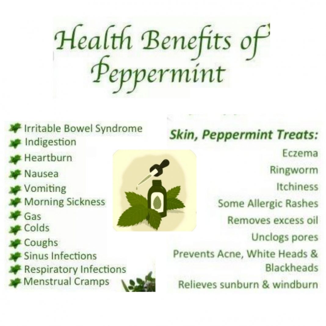 11 Health Benefits Of Peppermint