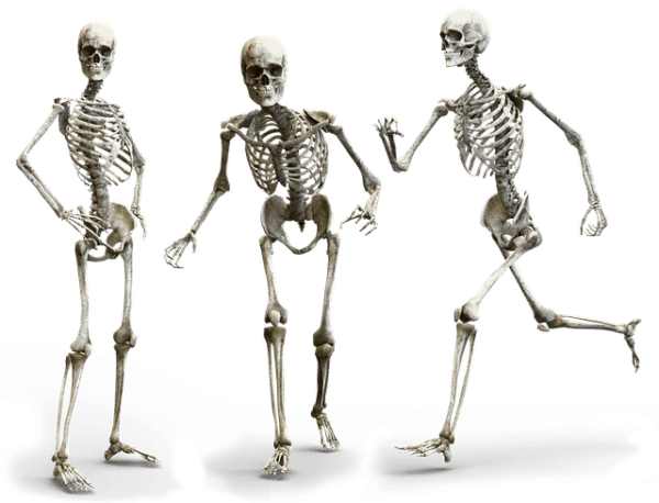 The Natural Ways To Build Healthy Bones 6082