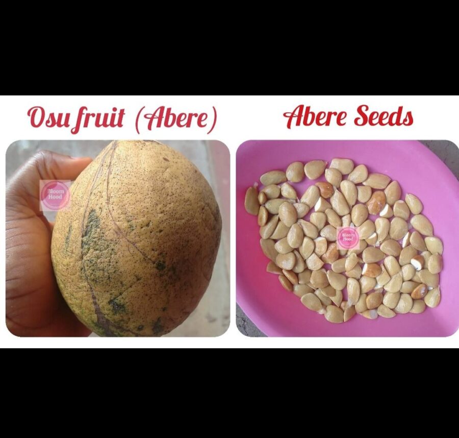 Health Benefits Of Abere Seed And Coconut Water