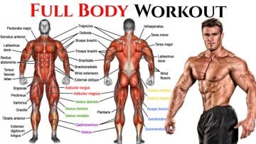 How To Flex Pecs: Full Body Workout - Healthsoothe