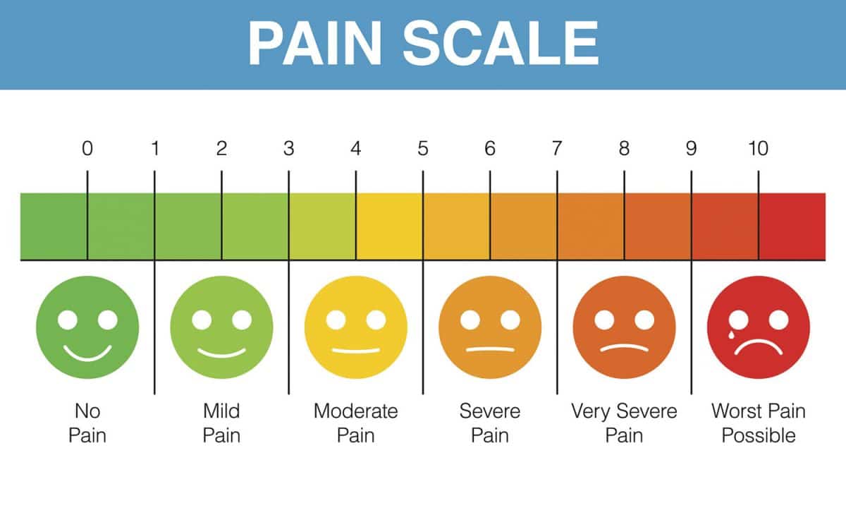 Flacc Scale Assessing Non Verbal Pain