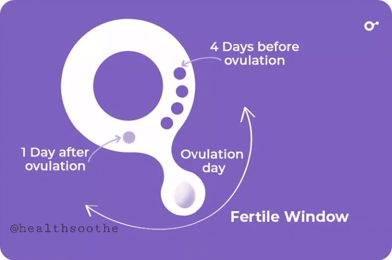 5 Facts About Fertile Windows And Pregnancy Healthsoothe Health And Dental Care 4222