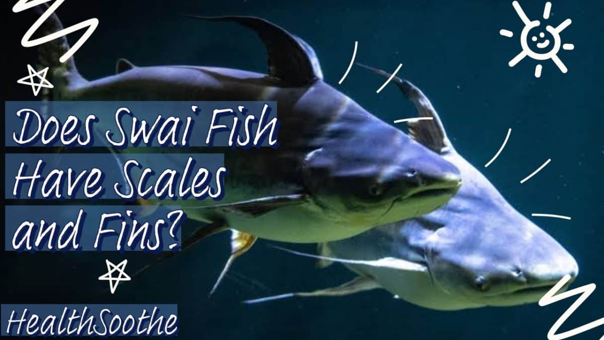 Does Swai Fish Have Scales And Fins? Let's Find Out!