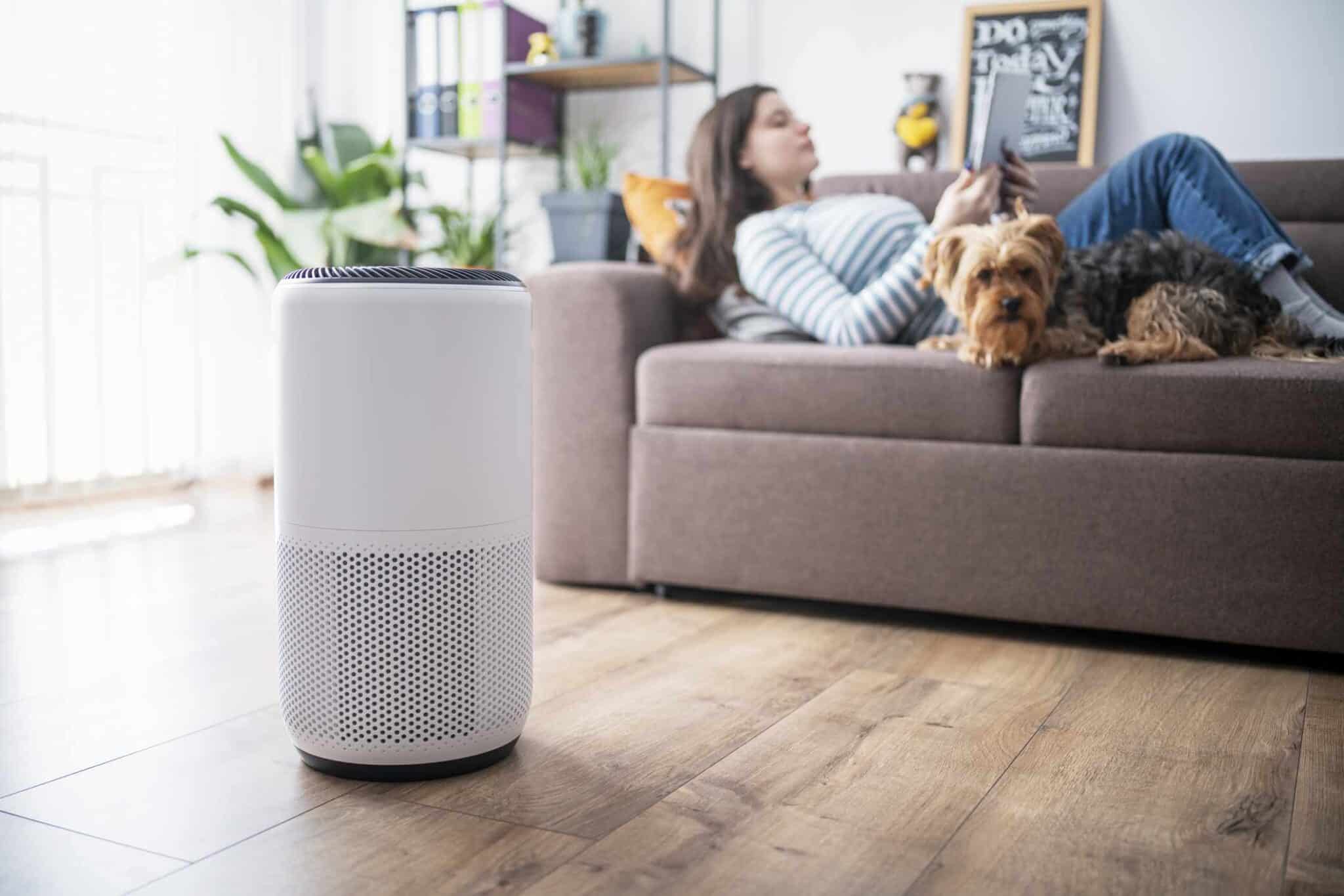 Top Air Purifiers For Your Home: What Are The Benefits Of Using An Air Purifier? - Healthsoothe