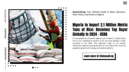 Nigeria to Import 2.1 Million Metric Tons of Rice: Becomes Top Buyer Globally In 2024 – USDA - Statescall.ng