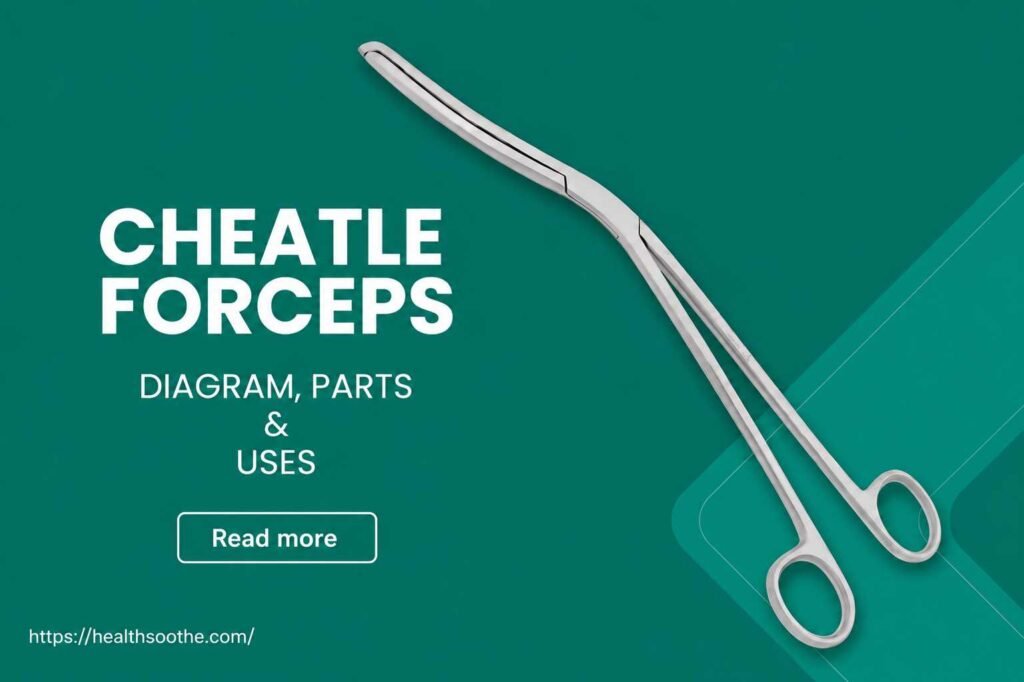Cheatle Forceps